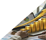 Marketing & Sales Director
